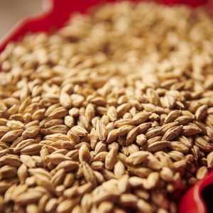 WEYERMANN® PALE ALE MALT (kg)